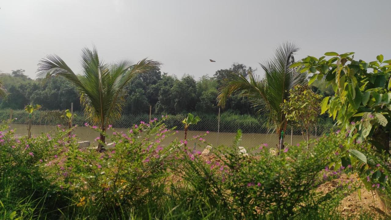 קאט טיין Homestay Dat Viet מראה חיצוני תמונה