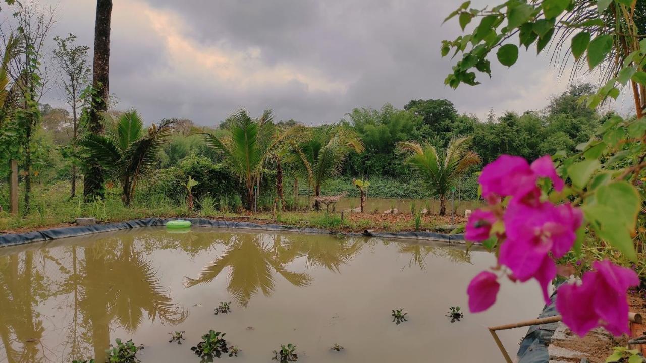 קאט טיין Homestay Dat Viet מראה חיצוני תמונה